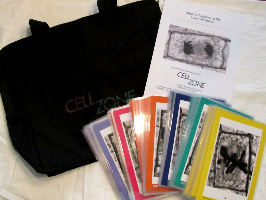 Image of components of a 6-group Plant Cell Mitosis Sequencing Kit